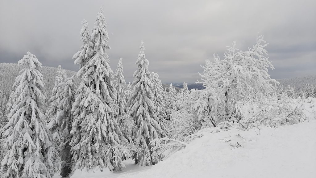 Me – a wanderer? Only in Moravian-Silesian Region! 