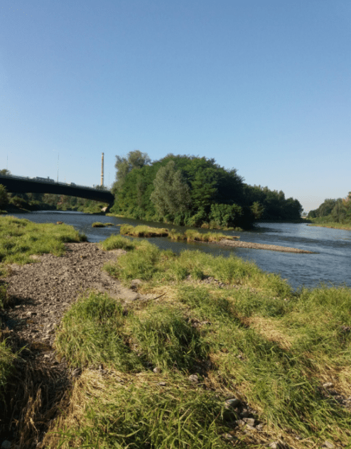 confluence Odra and Ostravice | From prehistory on Landek, part 2.