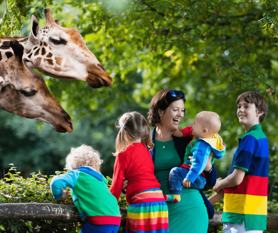 Family-Friendly Ostrava
